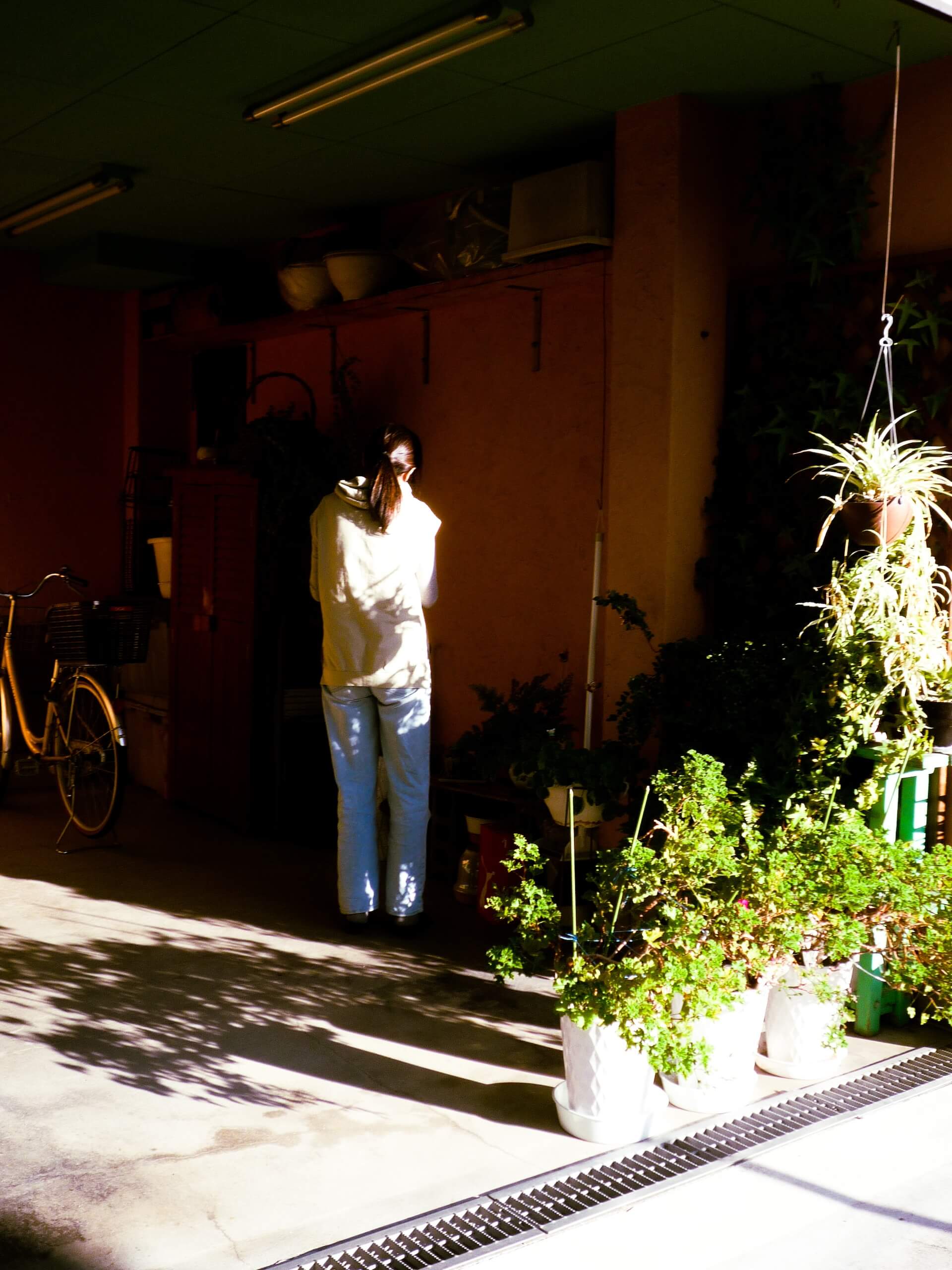 lumix, ルミックス